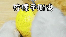猫咪成精,居然给主人做早餐还准备了小惊喜呢