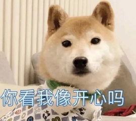 斗图表情包不斗图不快乐