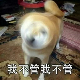 关于女朋友生气表情包带字你那么好看不要生气