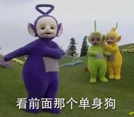 不想过光棍节要不和新传人谈场恋爱吧