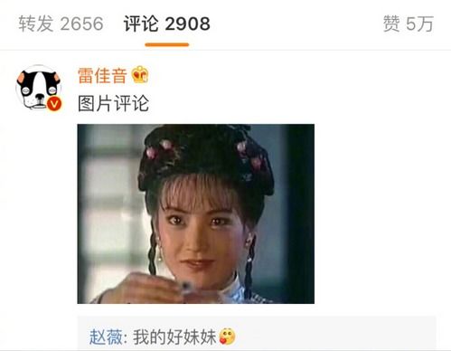 表情搞笑了苏有朋