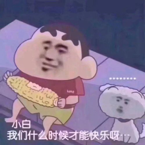 大象大象你的鼻子为什么那么长