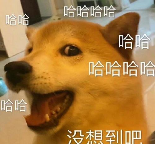 颁奖还能这么玩朱一龙收到奖杯却打不开快递网友太会了