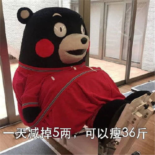 表情熊本熊爆笑表情包一天减掉5两,可以瘦36斤腾讯网qq.com表情