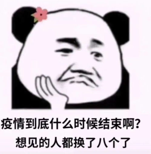 表情包千千万,只有新的最想看