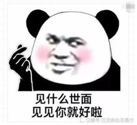异性聊天女生不搭理你咋办投这几个表情包过去,炸出话题