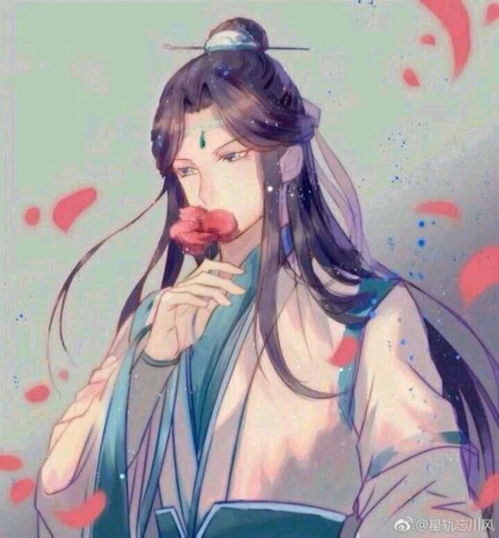 忘羡同人美图,需要素材的看过来,你值得拥有