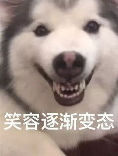 占有欲超强攻乖巧听话受