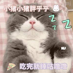 98条有趣又搞笑的文案虽然你有老公了,但是多我一个怎么了