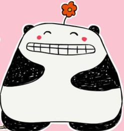 告诉我它的名字