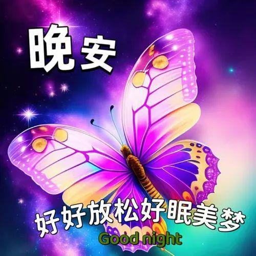 晚安图片,晚上好表情包,祝福望你好梦