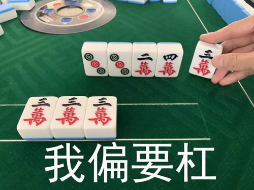 科普下关于猫瘟的种种吧
