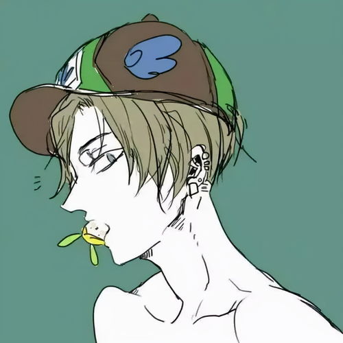 宝来换上这批男女生动漫头像麽