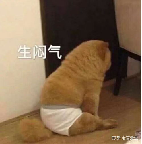 影视史上有哪些经典的即兴表演镜头