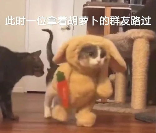 搞笑表情包图片如何礼貌,又不失优雅的结束聊天