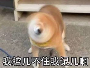 辣眼睛2017度娘奇葩搜索报告top1憋住的屁去哪儿了