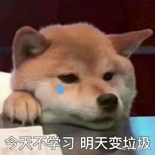 表情包搞笑配字单身汪