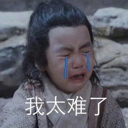 太难了表情包搞笑苏有朋