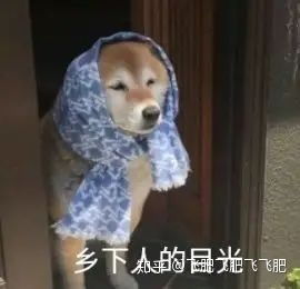 表情包搞笑沙雕动图表情包