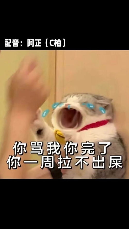快把这个发给老骂你的朋友,来波诅咒搞笑视频热门表情包