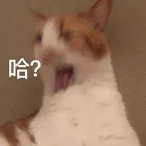 沙雕搞笑表情包i俺是你的犬系男友