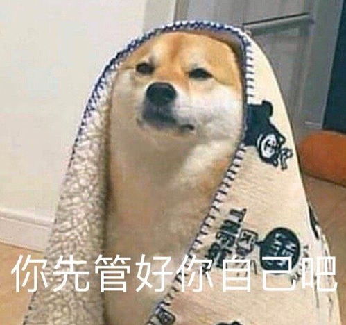 搞笑的图片,最新可爱表情包