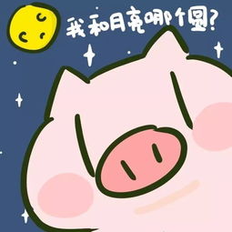 找图找到手抽筋超好看转运猪壁纸多多多多