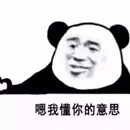 超好玩的熊猫头情侣头像