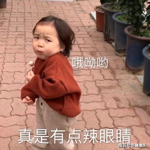 搞笑表情包图片真是有点辣眼睛