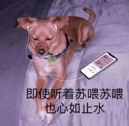 我他娘的到底要不要二战啊