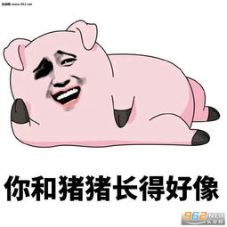 不关猪猪的事表情包图片大全你和猪猪长得好像表情包下载乐游网游戏下载