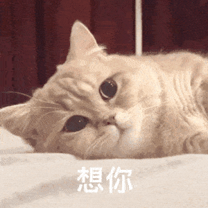 动态表情包