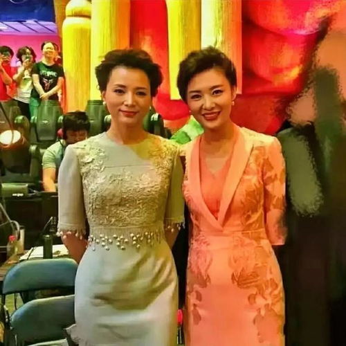 20年前的董卿,颜值是不是差周涛一大截啊