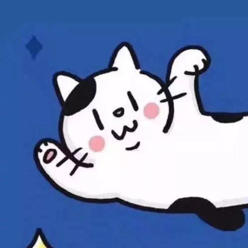 可爱卡通女猫qq头像头像