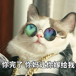 表情包萌喵喵手机不好玩,我要跟你谈恋爱