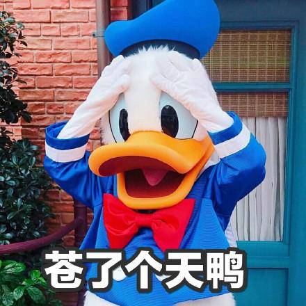 唐老鸭表情包大全54p
