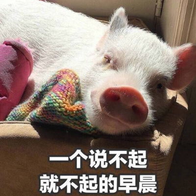 qq搞笑表情qq表情搞笑搞笑表情图片大全腾牛个性网