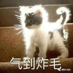 比起听情话撩妹,我更愿看1000遍他们耿直怼人放狠话