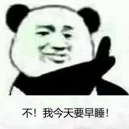 表情包还是沙雕熊猫头好使