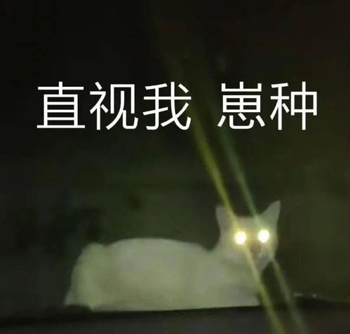 搞笑gif谁知道妹子这是啥穿着,难道小腿不怕冷吗