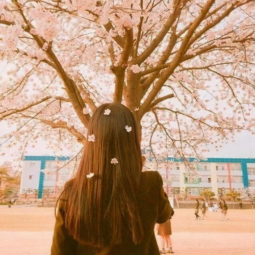 女生的哪些特质让男生心动呢