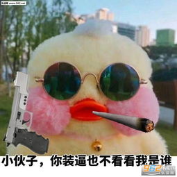 完了我写作业写瞎了搞笑图片让我看看是那个傻子表情包下载乐游网游戏下载