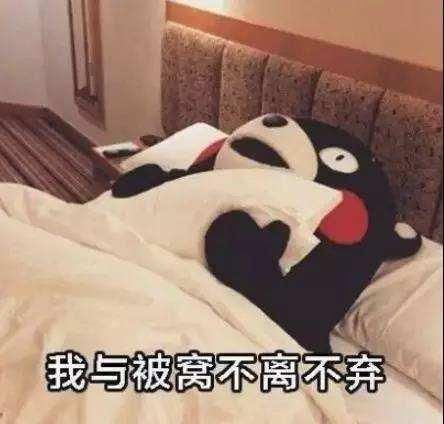 起床进度条表情包不想起床经典搞笑表情包