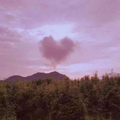 羽曦祝你前程似锦我一生高攀不风景静物头像我要个性网