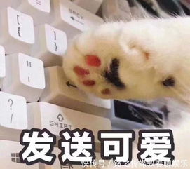 开心一刻2018年奇葩沙雕新闻