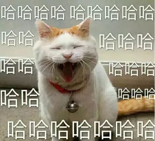 全都是真的2018年度全国最傻警情盘点,太好笑了哈哈哈