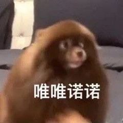 沙雕表情包l格局小了