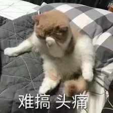 蔡徐坤送福利竟引发这事王俊凯justin被人挑拨
