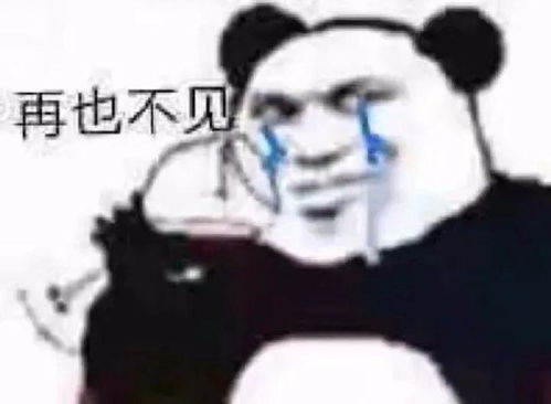 沙雕表情包让我流下眼泪的,不止是昨夜的酒