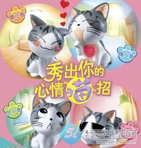 我是来求个小奇猫的,谁有